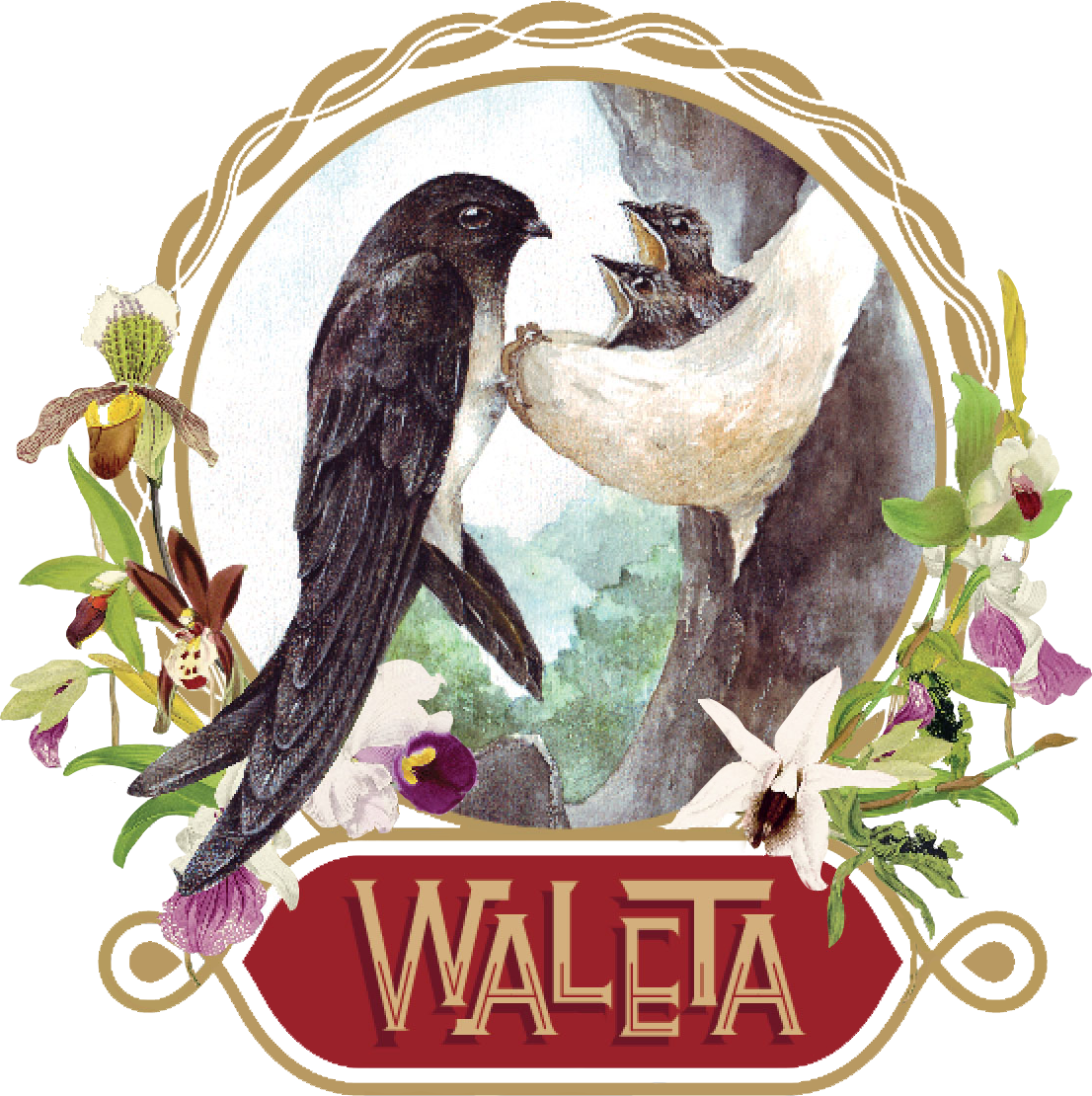 Waleta Logo